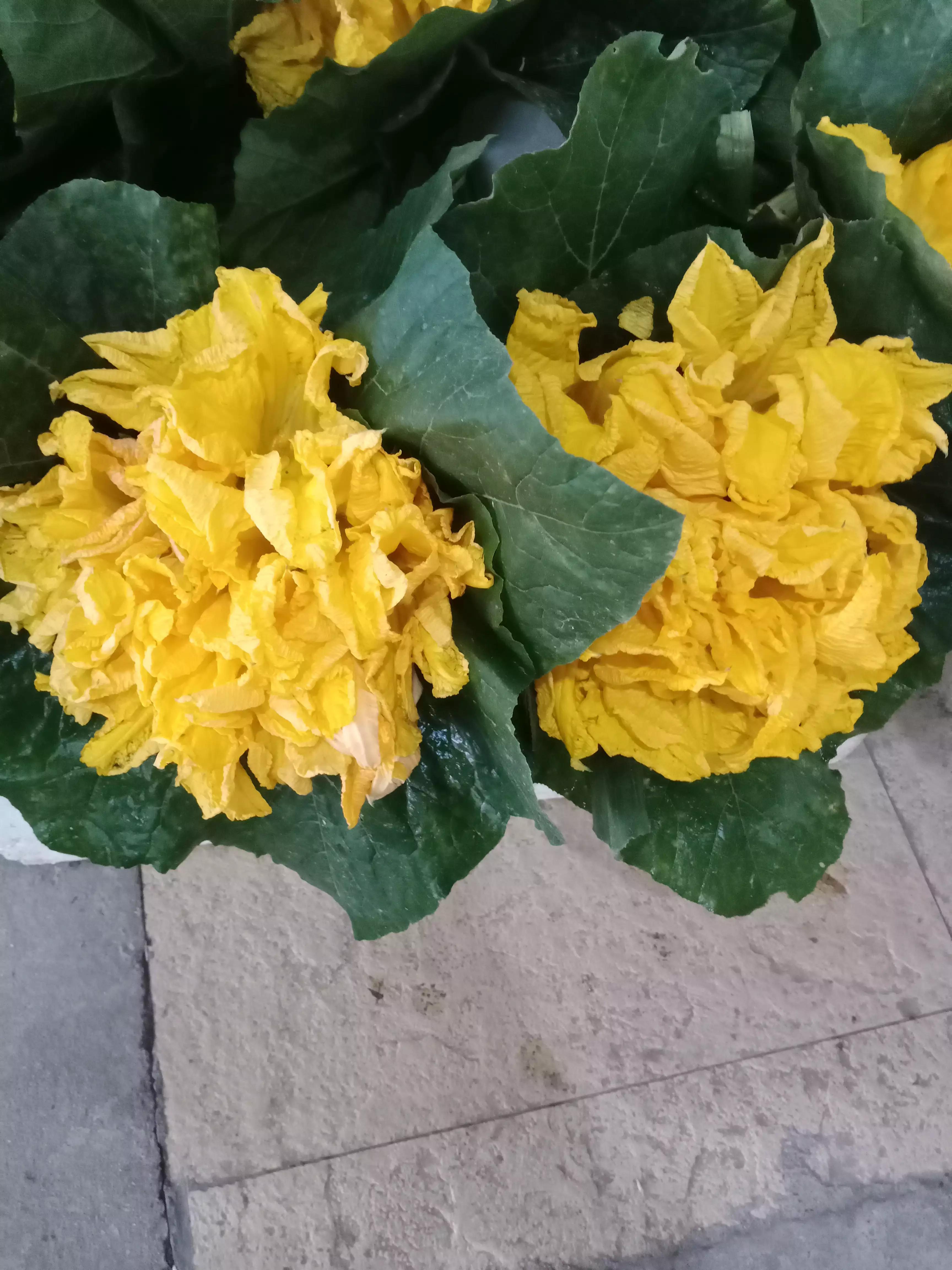 母亲节带老妈买衣服,母亲节给老妈买了几件衣服