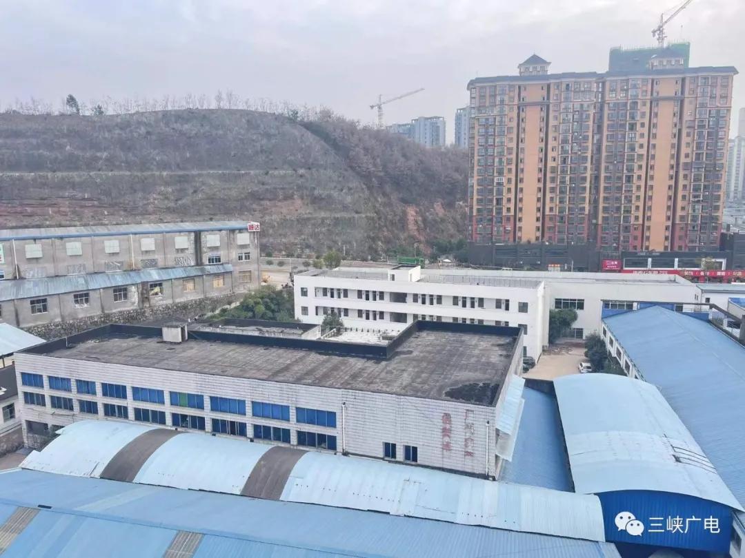 全省首张罚单开出,全国首张营业执照颁发