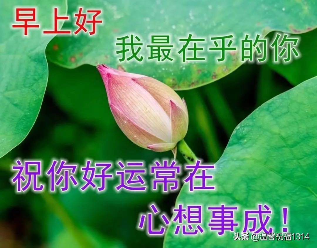 7月12日早安温馨问候语,7月1日清晨祝福语