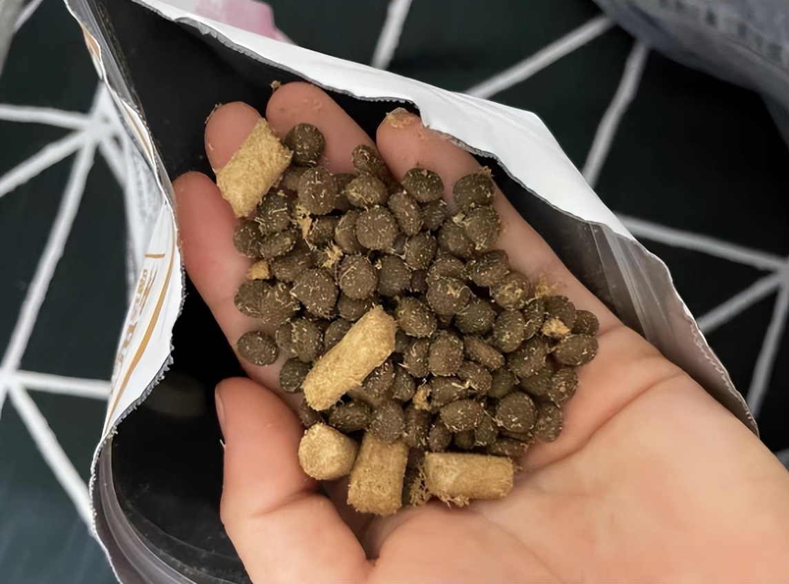 美国进口喵达全猫粮幼猫可以吃吗,喵达冻干猫粮怀孕的猫咪能吃吗