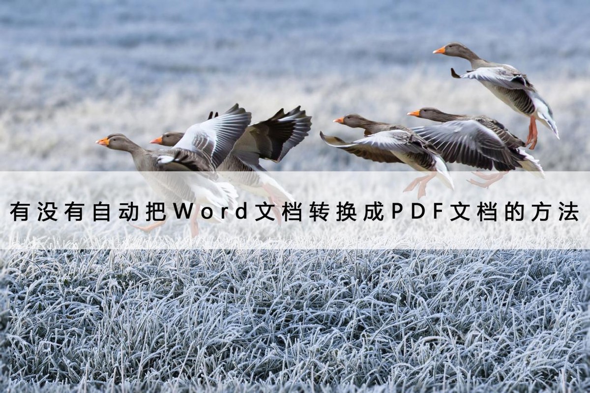 pdf转换成word文档免费app哪个好,pdf图片如何转换成word文档可编辑