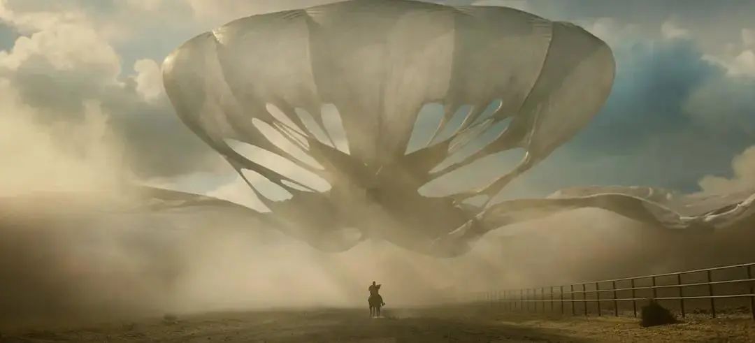 不要抬头看月亮全文,不要抬头看月亮