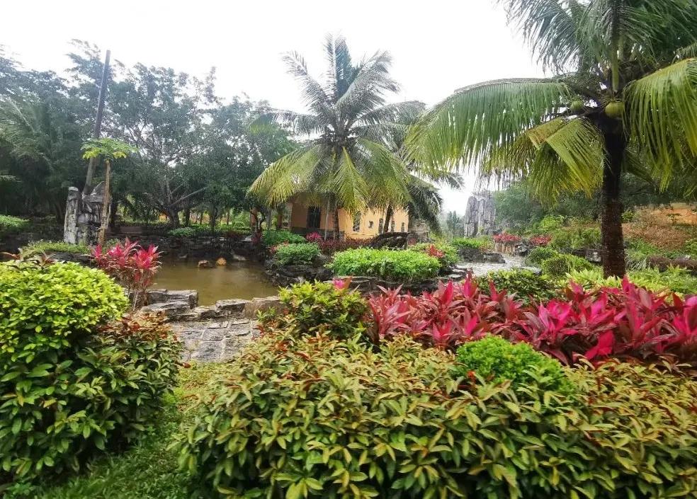 海南万宁有什么值得去的景点,海南万宁石梅湾风景