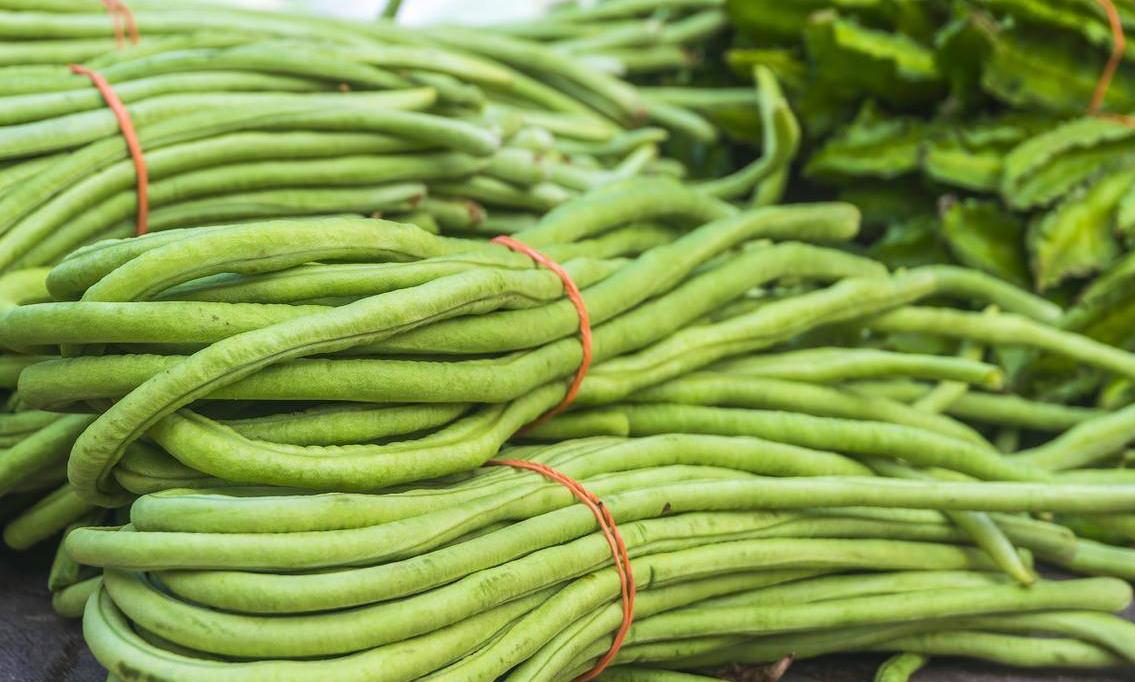 三伏天推荐10道家常菜,冬天遇到这菜别错过