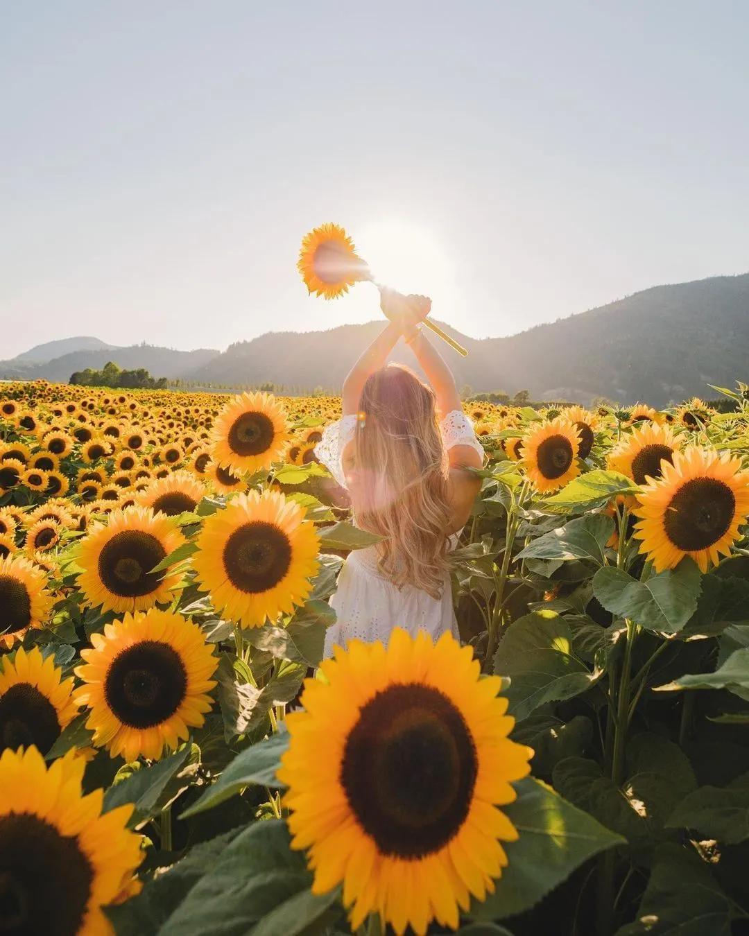 抢不到冰墩墩是什么梗,冬奥会冰墩墩2022