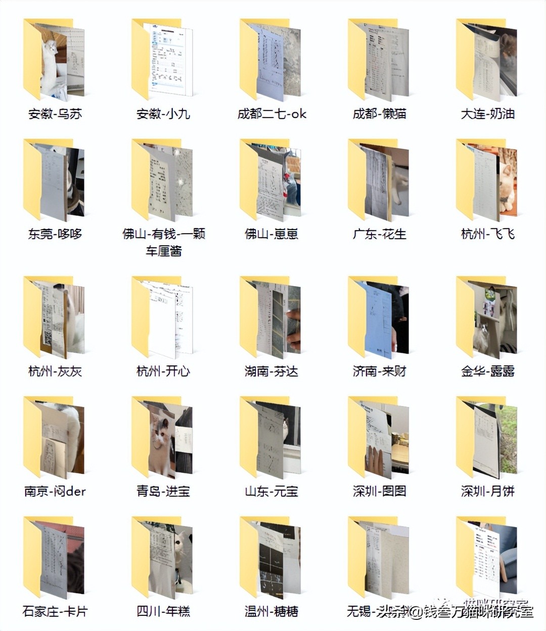 蓝氏荒野猎兔猫粮和乳鸽哪个好,蓝氏兔兔猫粮