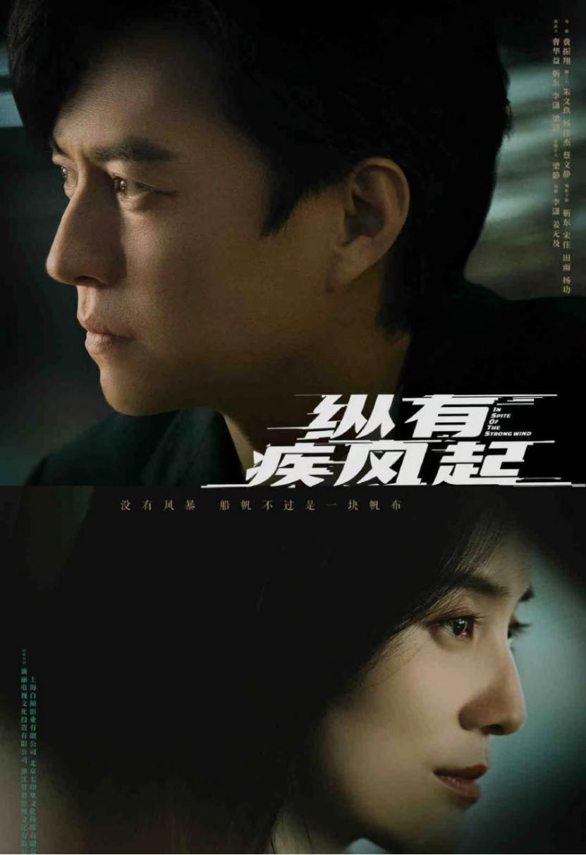 靳东最近上星的电视剧有哪些,靳东四部大戏已确定上星