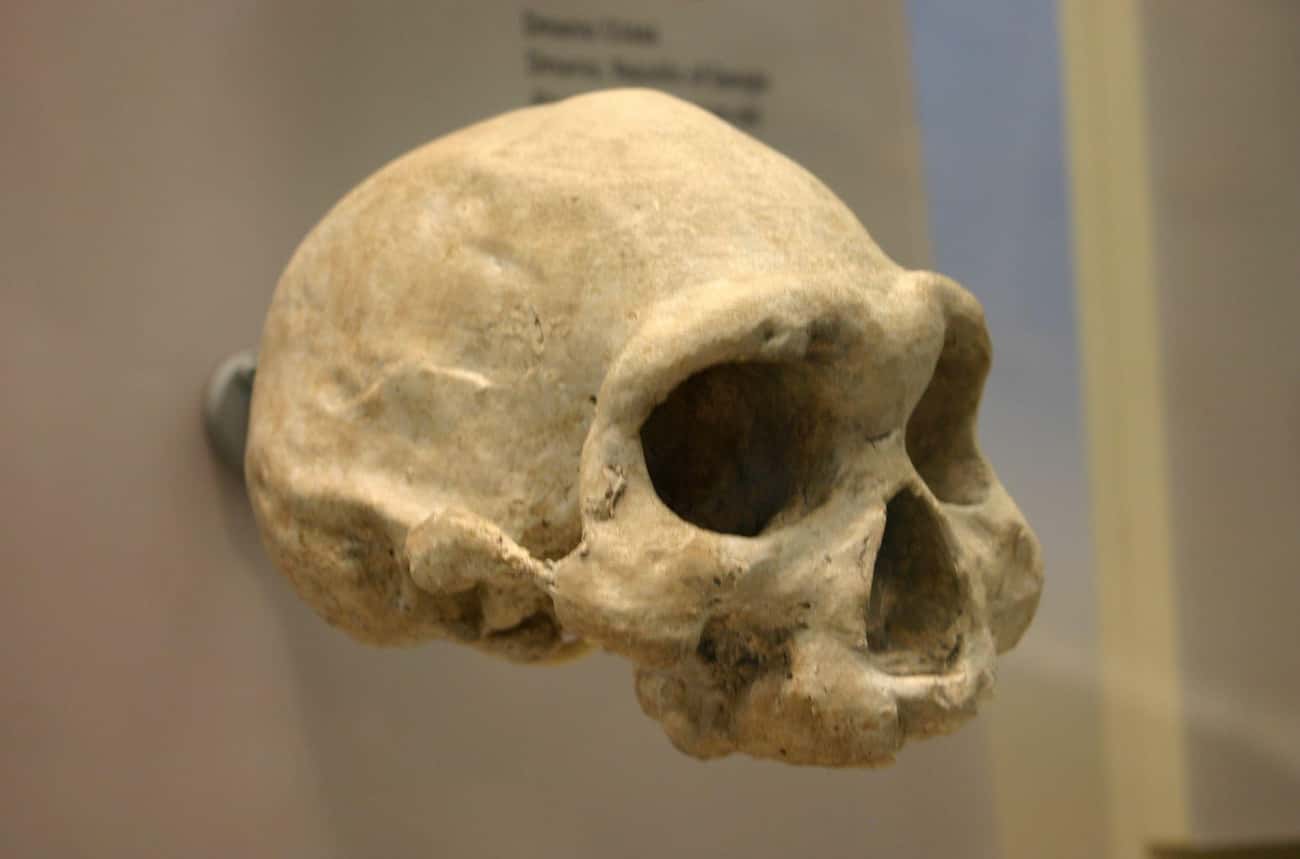 改写中国历史的考古重大发现排名,颠覆认知揭考古史上九大震惊发现