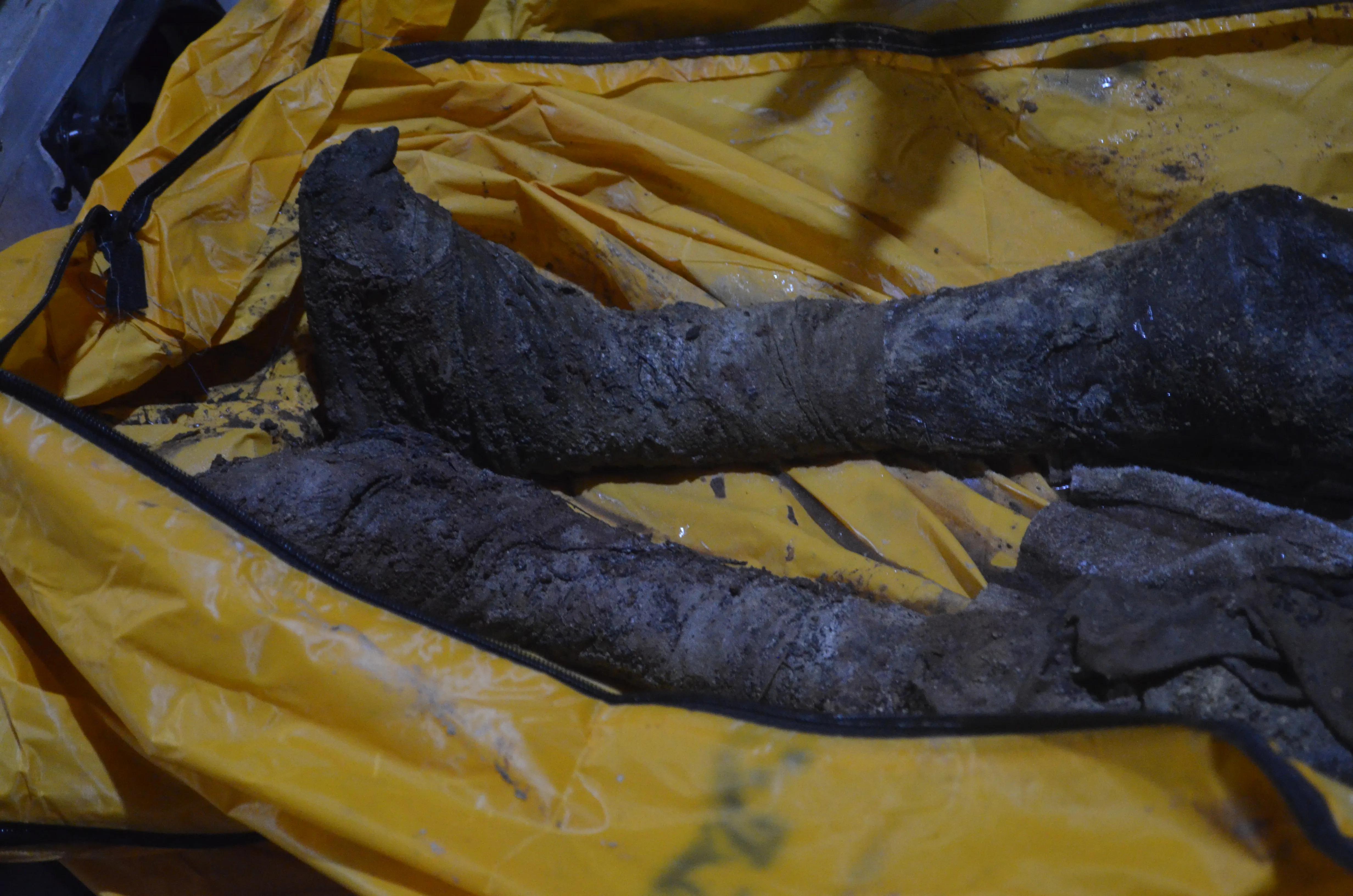 沐川县汉代古墓,沐川挖出百年古墓的是谁