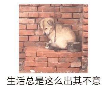 大姨妈推了10天头一阵一阵晕,晕血大姨妈来了怎么办