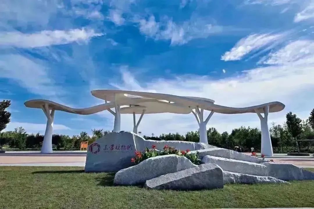 东营秋季旅游攻略,秋天东营旅游攻略必玩的景点