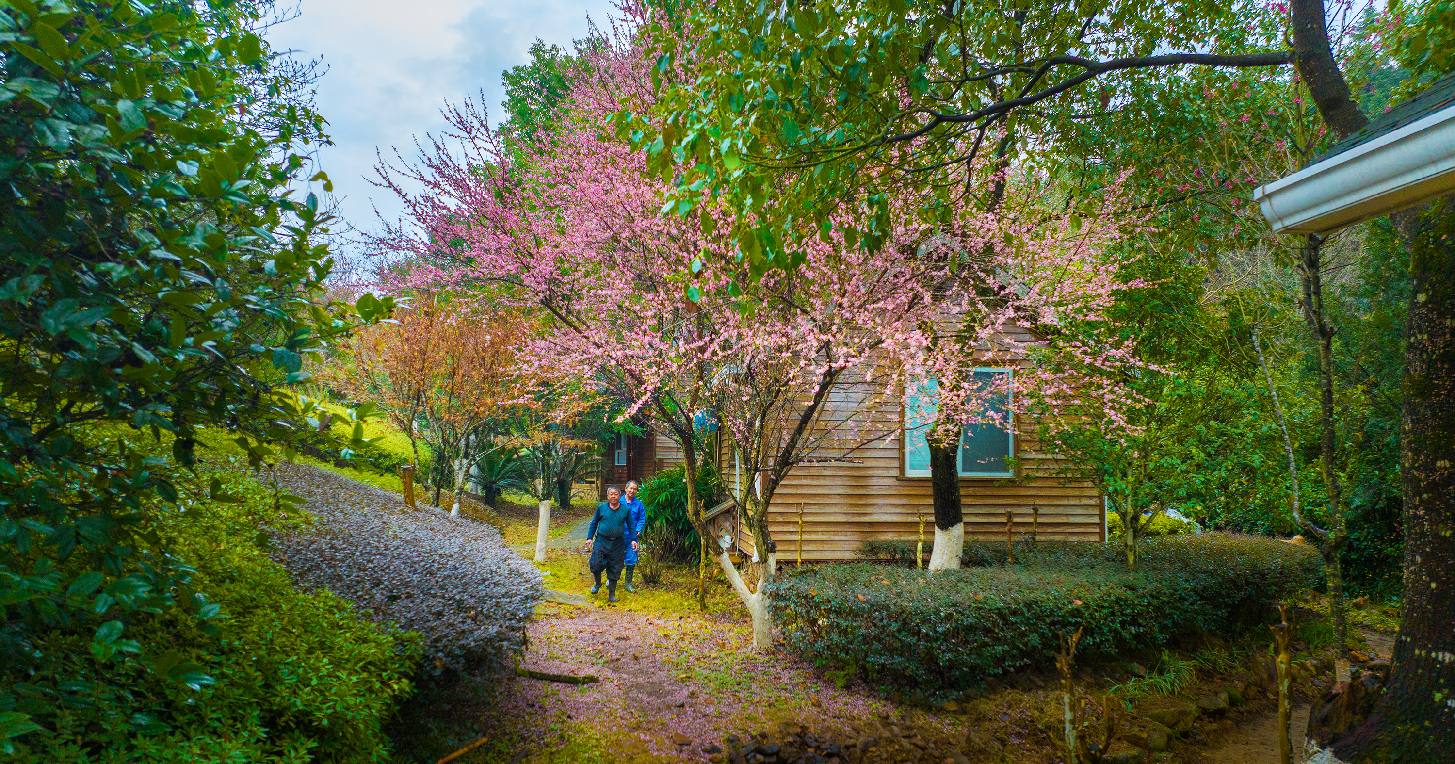 沙县马岩山庄森林康养有什么,沙县马岩康养基地