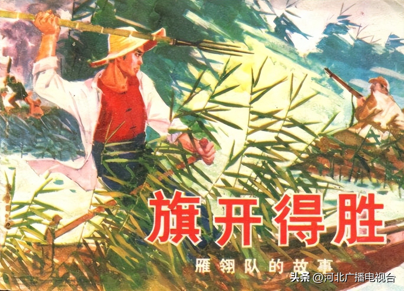 今日的白洋淀视频,现在白洋淀的情况