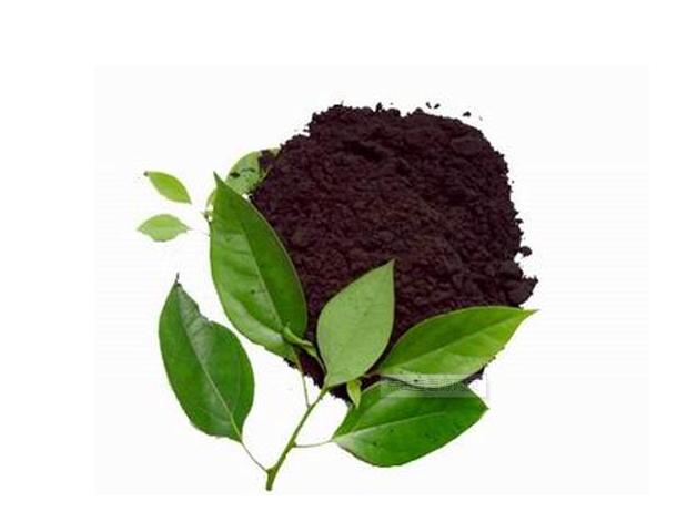 76岁农村大爷养鸡赚钱,小伙子在农村养鸡致富