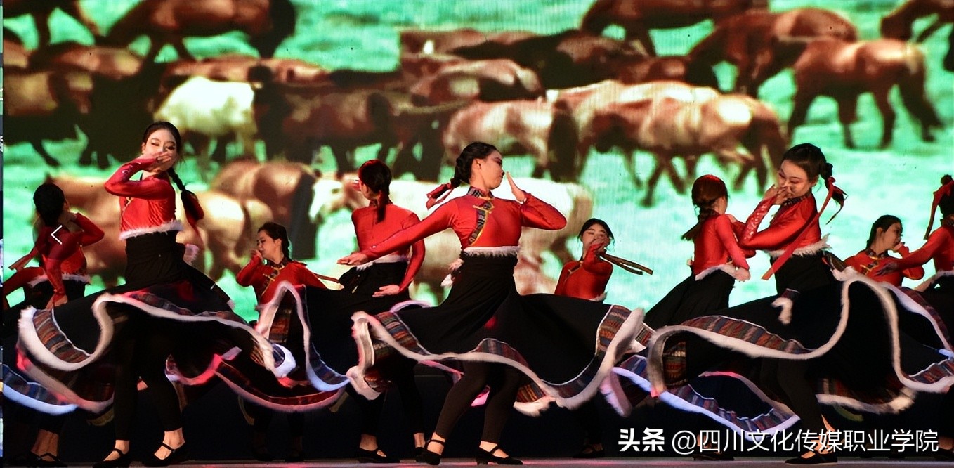 四川文化传媒职业学院是单招吗,四川文化传媒职业学院报名时间表