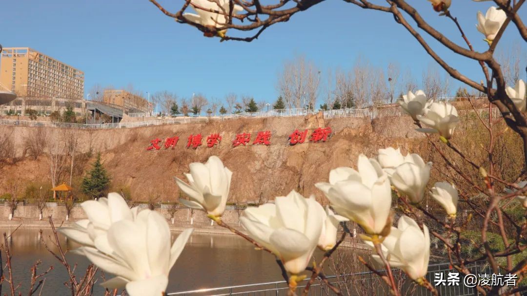 共赴春之约携手新征程,共赴春天之约携手砥砺前行