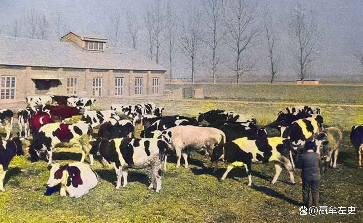 老照片还原1980年的淄博,老照片淄博市周村区