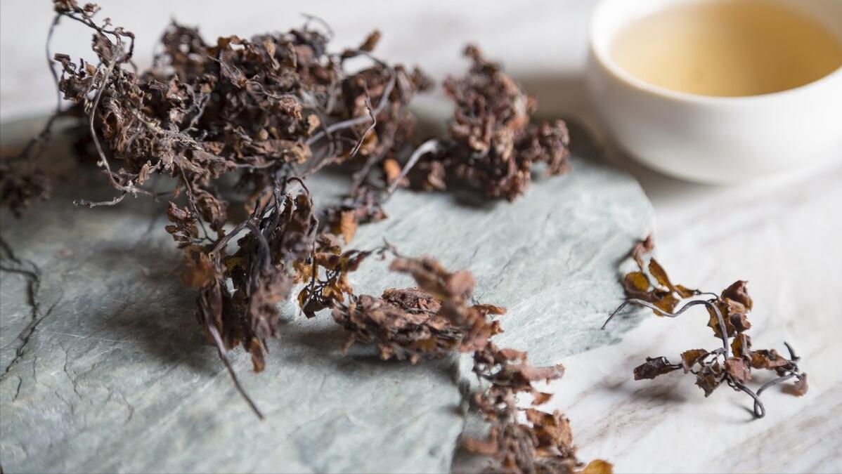 每日膳食养方——海藻篇，消痰，清热，散结