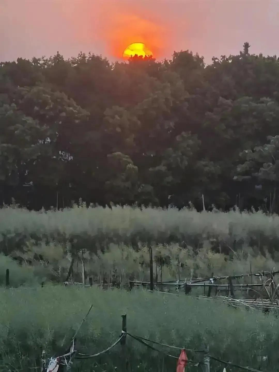 创业计划书3000字,创业计划书下载