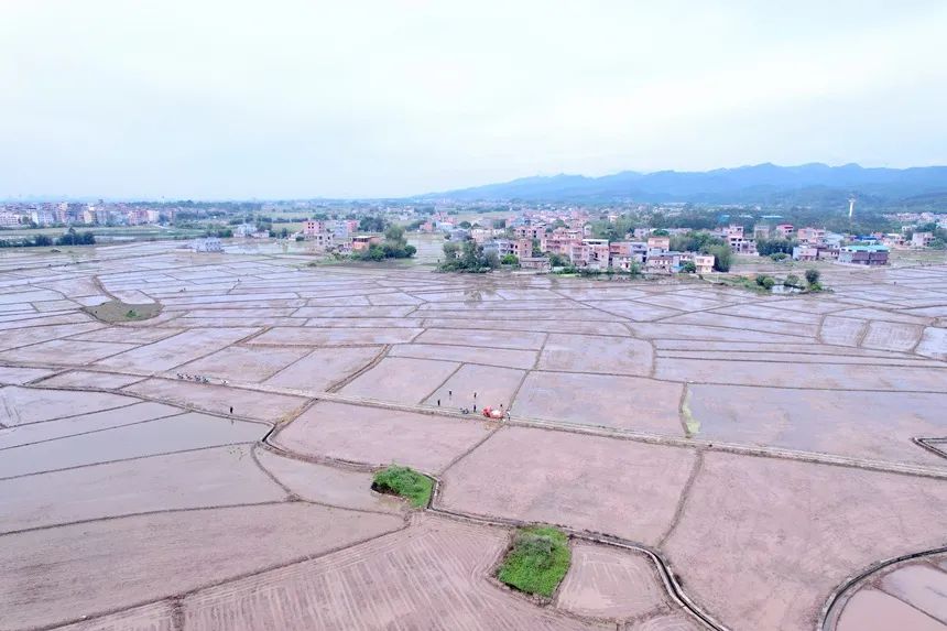 清明二十四节气歌,二十四节气清明舞蹈
