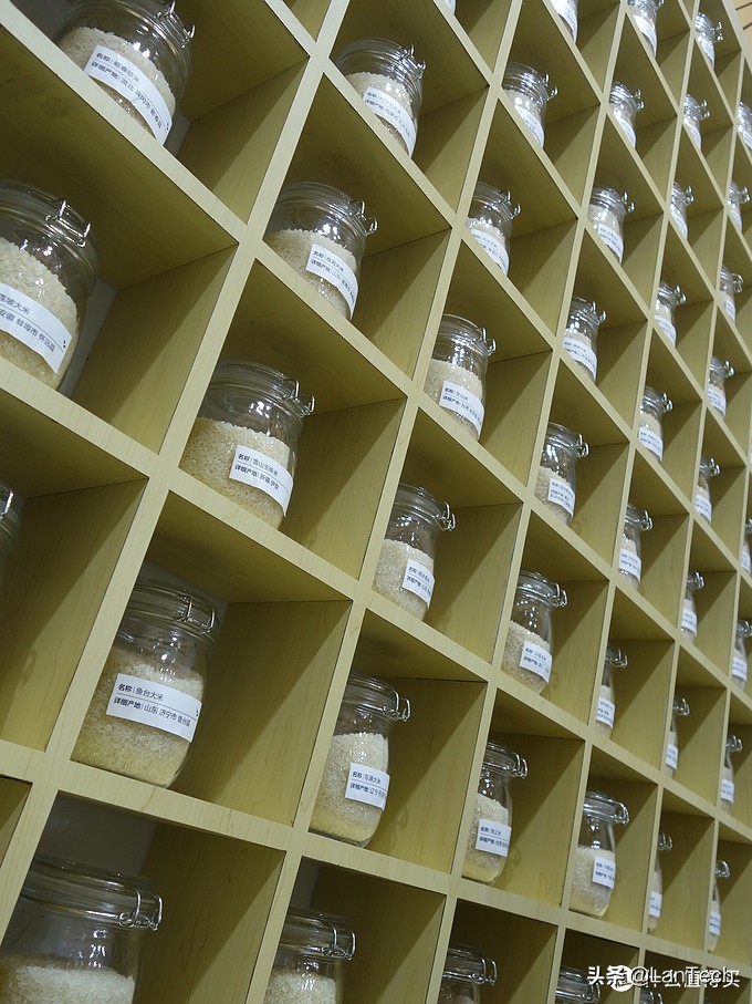 暴走两万步！海量图片带你游览2017年AWE家电展