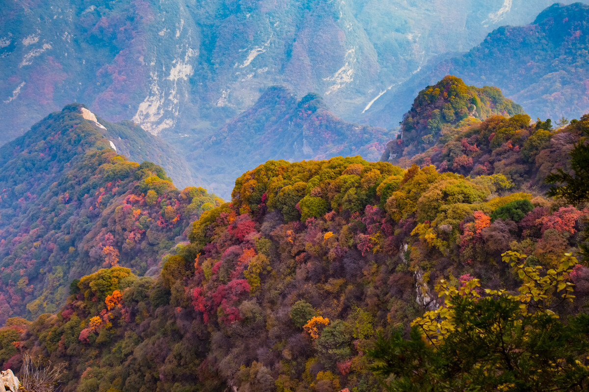 陕西历史博物馆和不夜城游玩攻略,西安兵马俑和不夜城游玩攻略