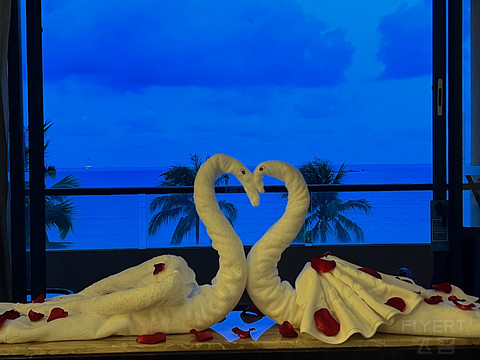 三亚万豪亚龙湾度假酒店入住,亚龙湾希尔顿度假酒店占地面积