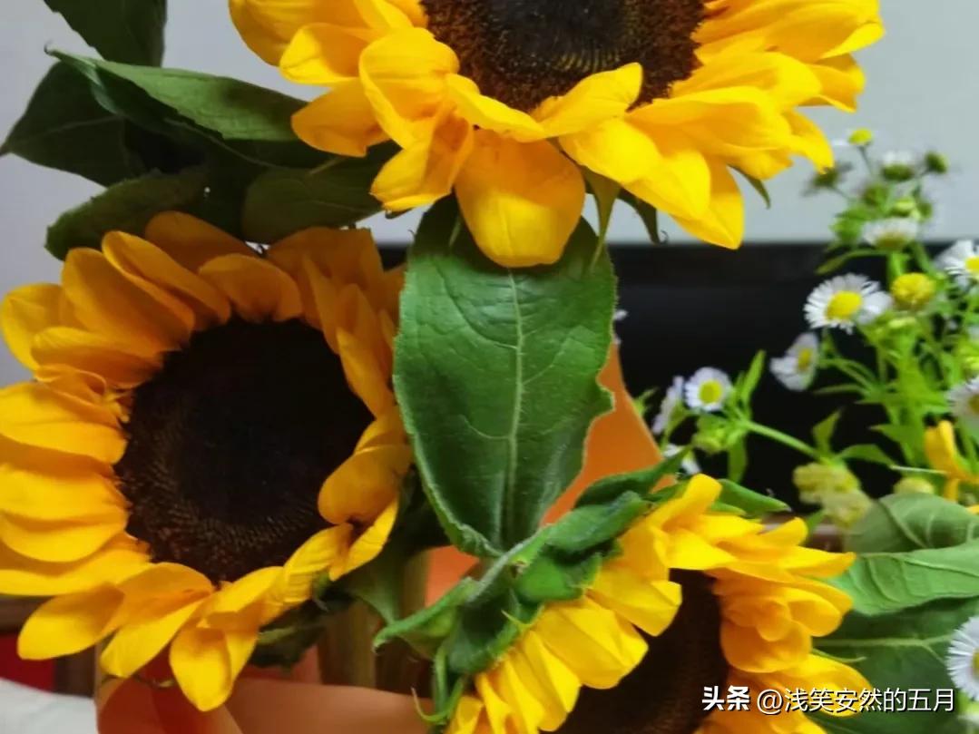 我，月收入为零的家庭妇女，挣得最大的钱是100万