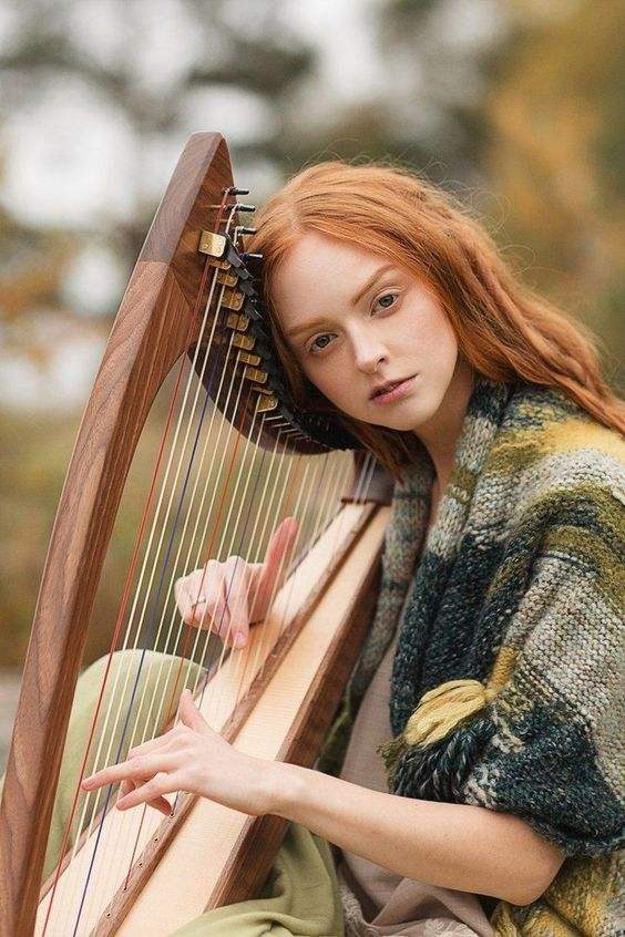 爱尔兰典型的传统乐器是竖琴,爱尔兰古代乐器