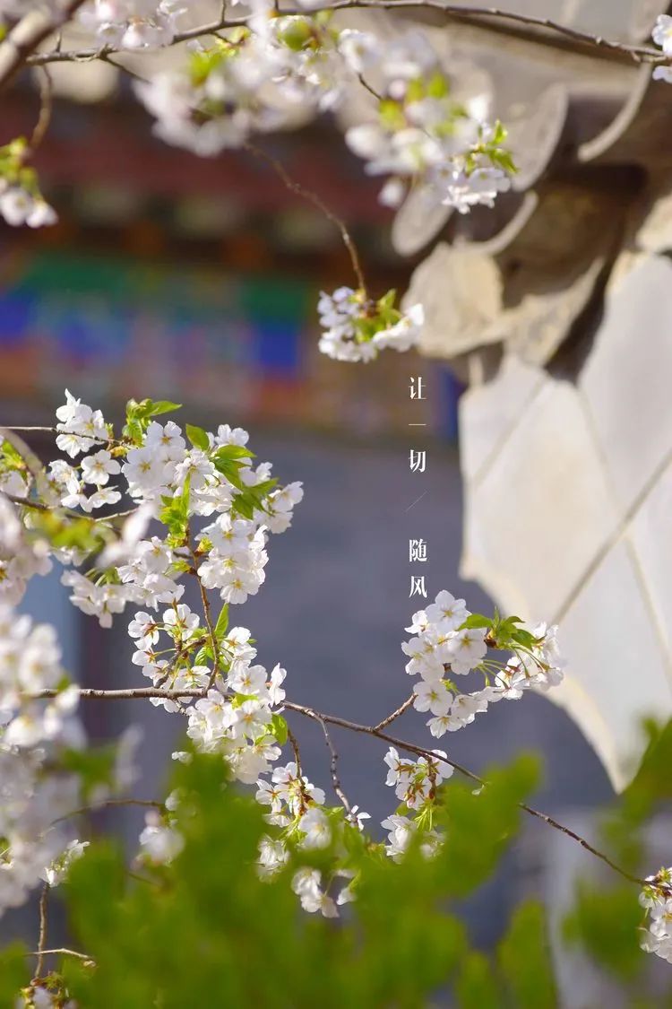 滦州古城都有哪些特色美景,滦州古城江南