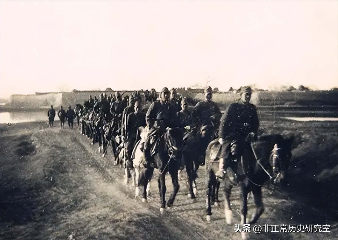 二战军队伙食纪录片,二战德军军犬伙食