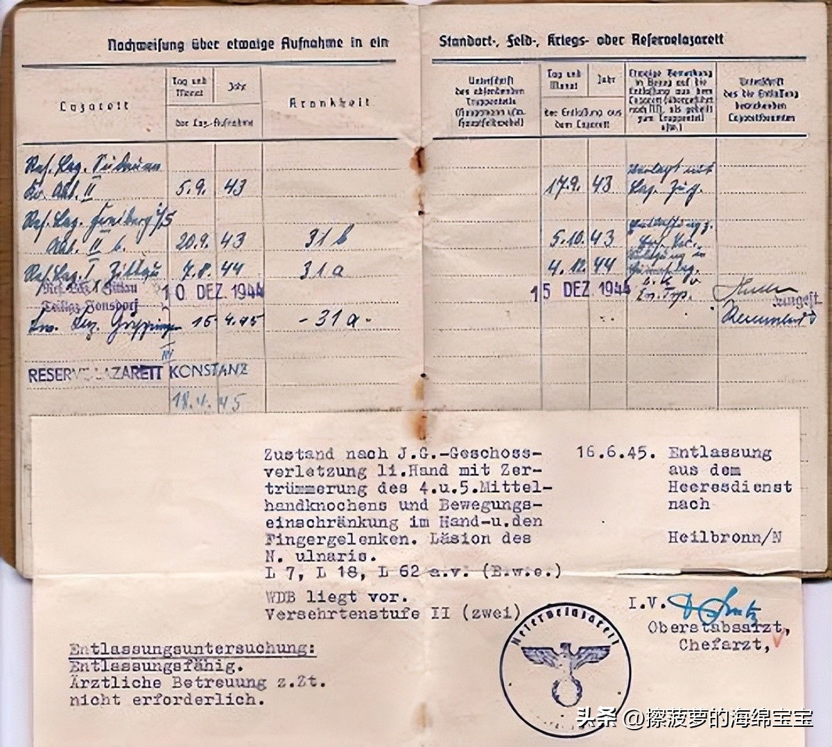 二战时德国军人的肩章,二战德国兵种领章