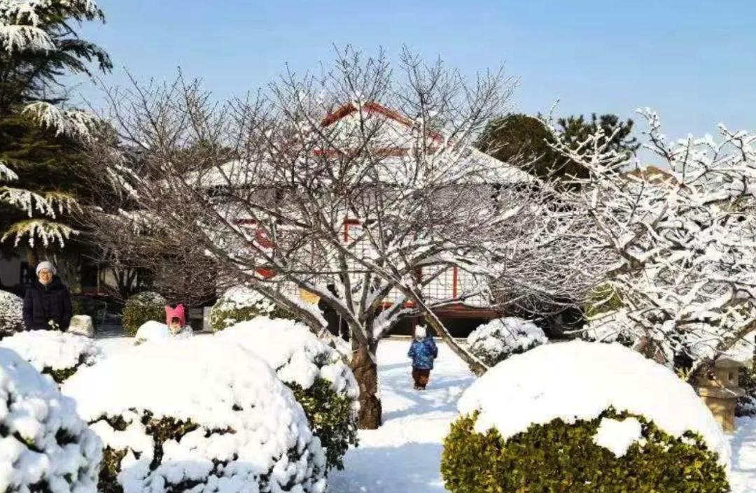 滑冰场旅游,滑冰玩雪
