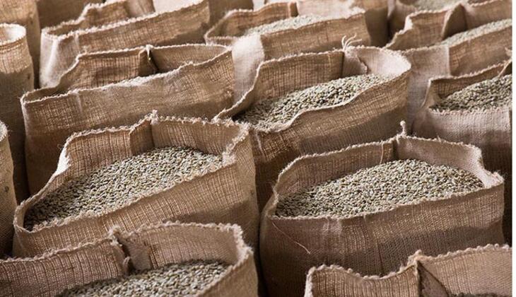 关于日晒法加工咖啡豆,日晒处理咖啡豆怎么加工