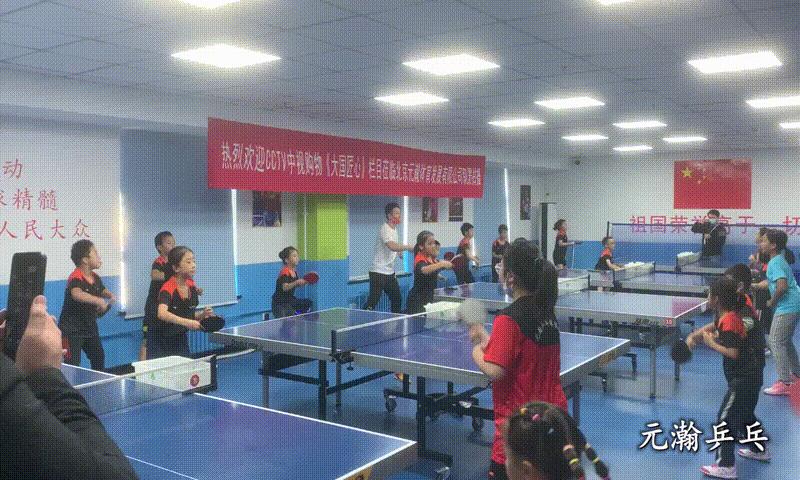 鍖楁竻鏅哄簱娌冲崡鍒嗛櫌,鍖楁竻鏅哄簱