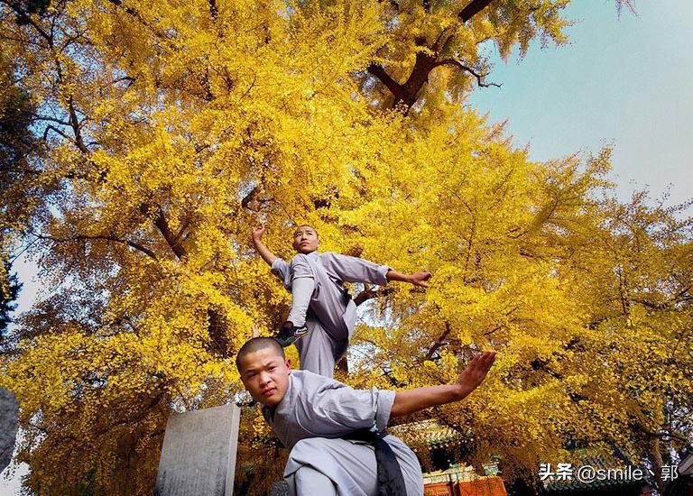 郑州附近一日游最佳景点旅游攻略,郑州附近旅游景点推荐自驾一日游