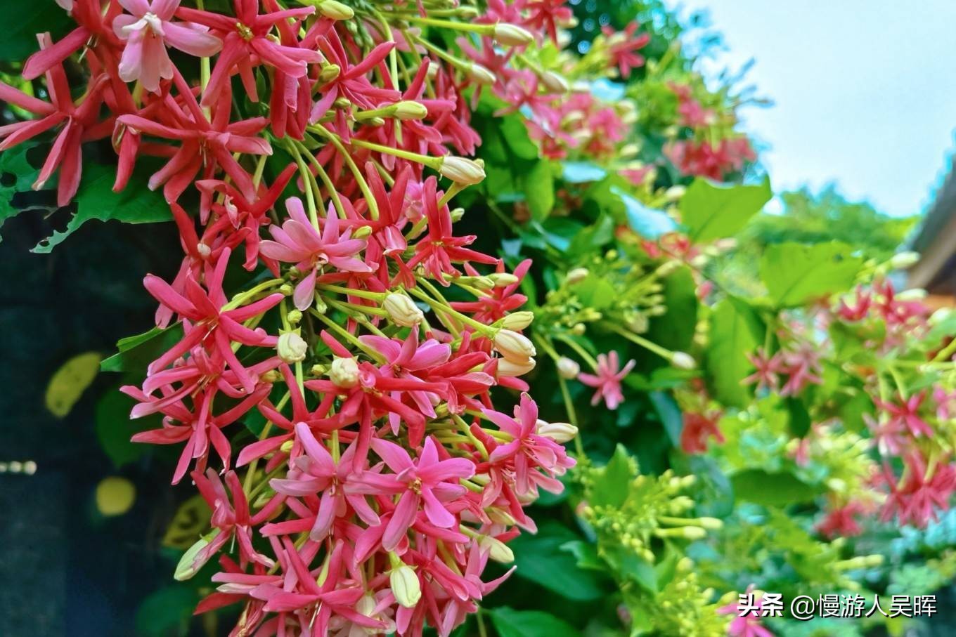 海南环岛游攻略详细行程,海南东线环岛游攻略自由行