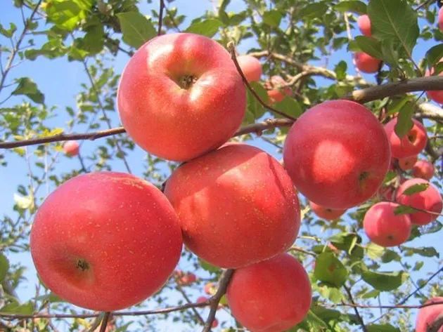 甘肃省各市颜值排名,甘肃省各市照片