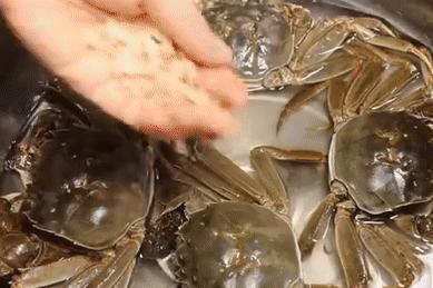 死螃蟹放冰箱7天能吃吗,死螃蟹高温处理能吃吗