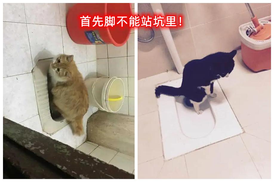 小学生的社死名场面——上课拉裤兜儿！如厕教育也是幼小衔接