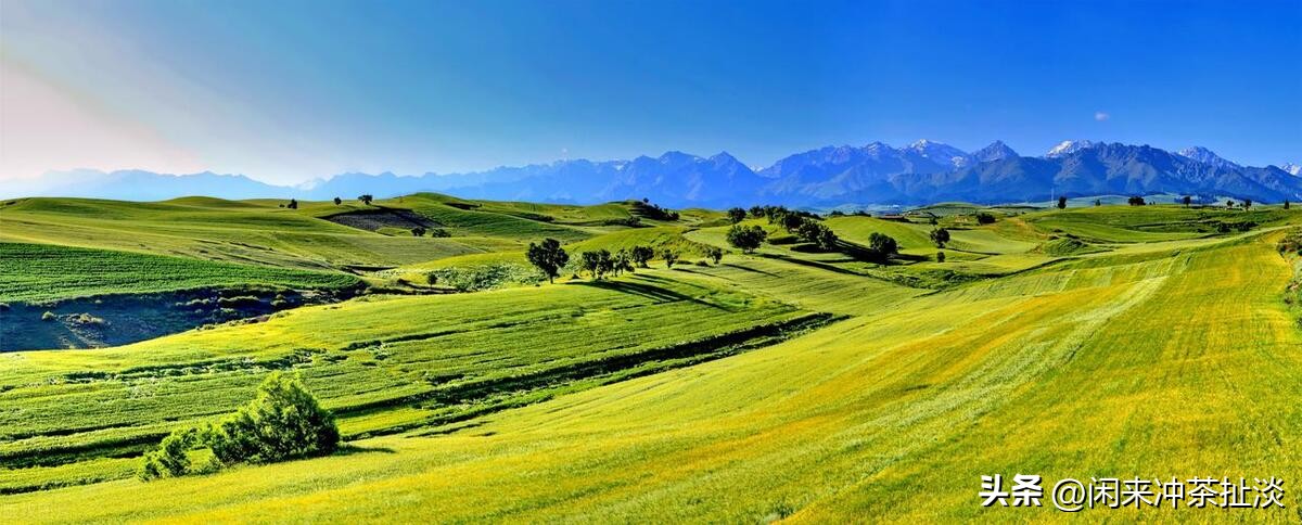 神仙的自留地,神的自留地喀纳斯