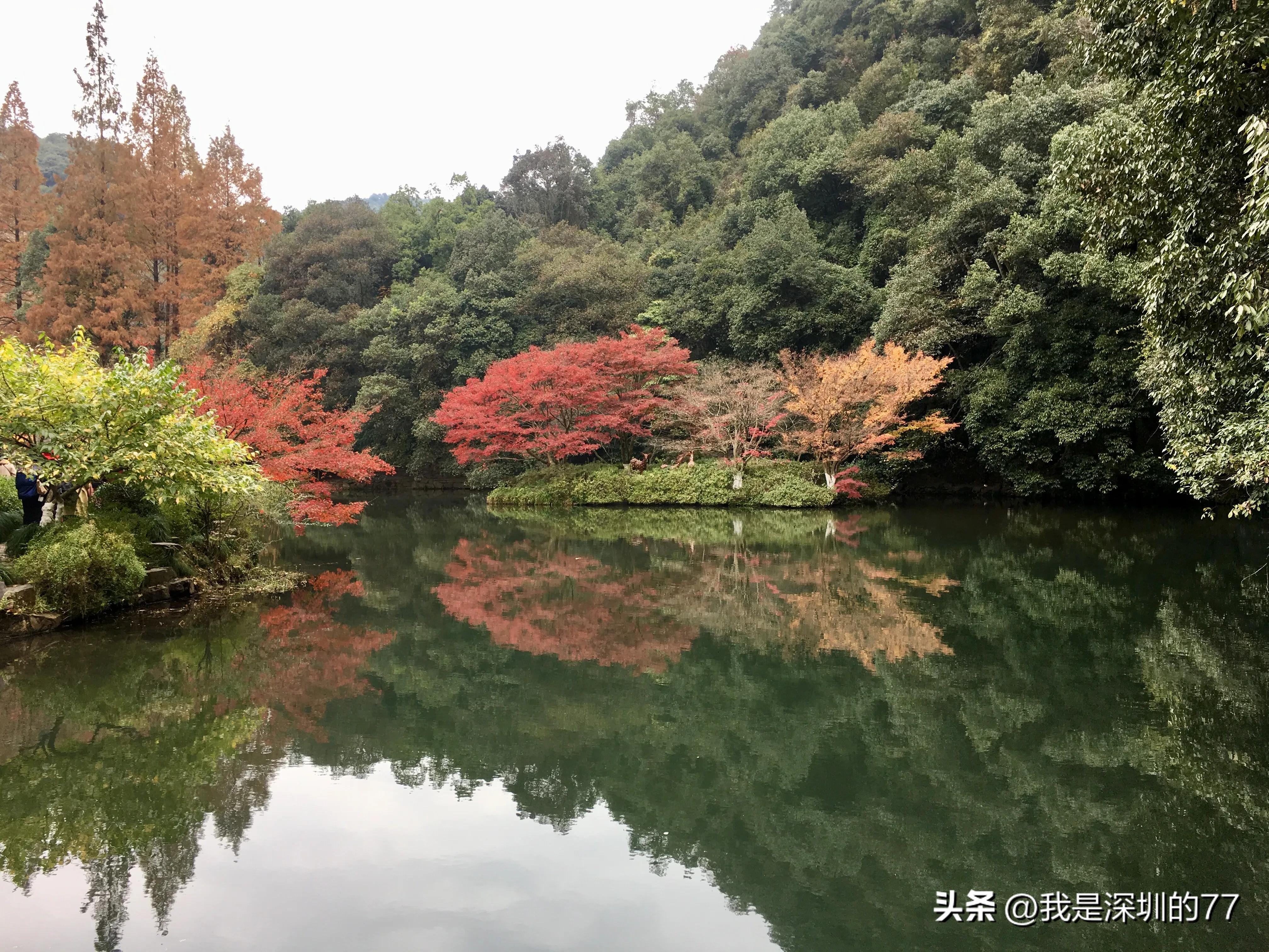 十一月，我在寻找杭州的秋天
