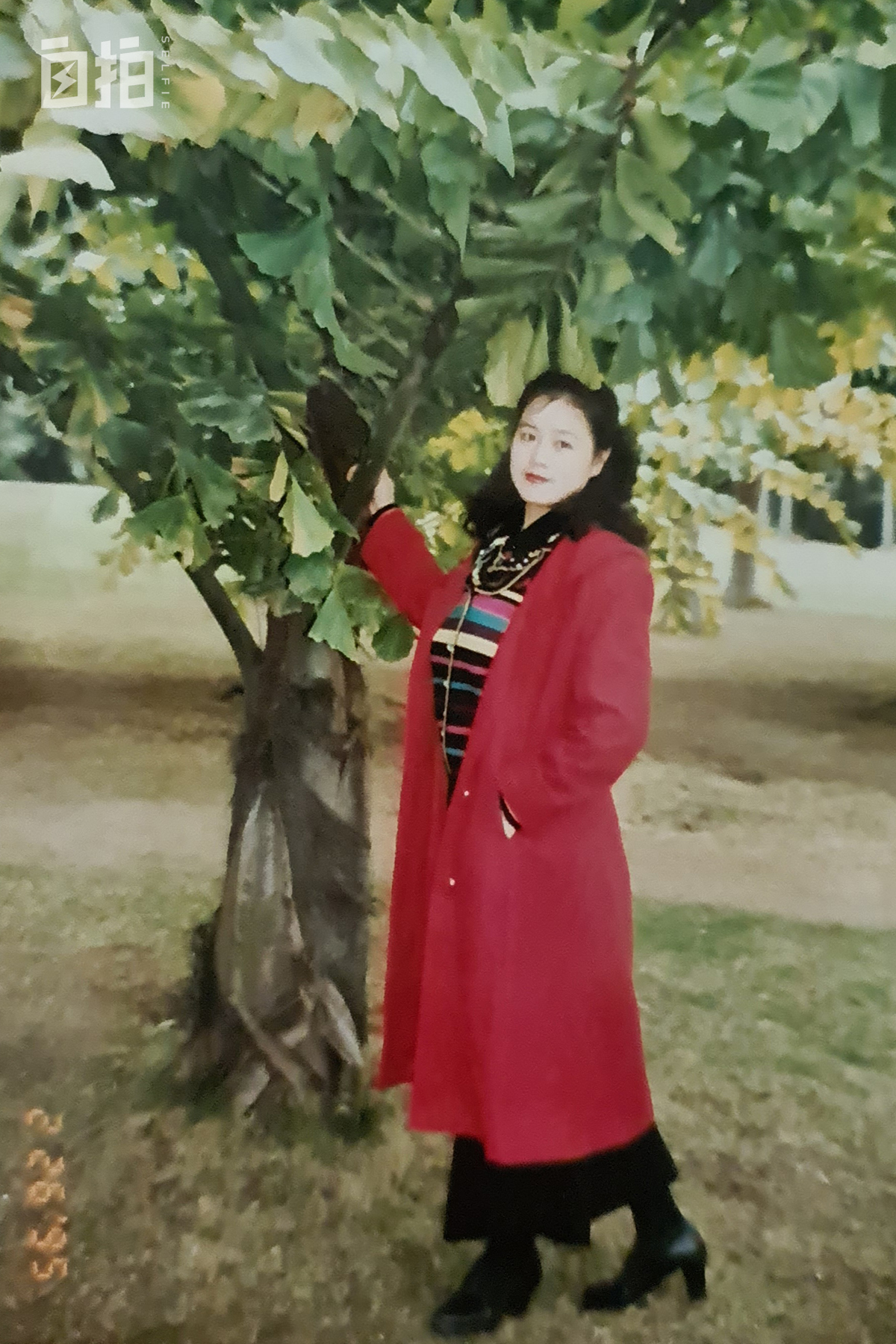 我,90年代下海,28万买的深圳房,一辈子没生娃,晚年就去养老院