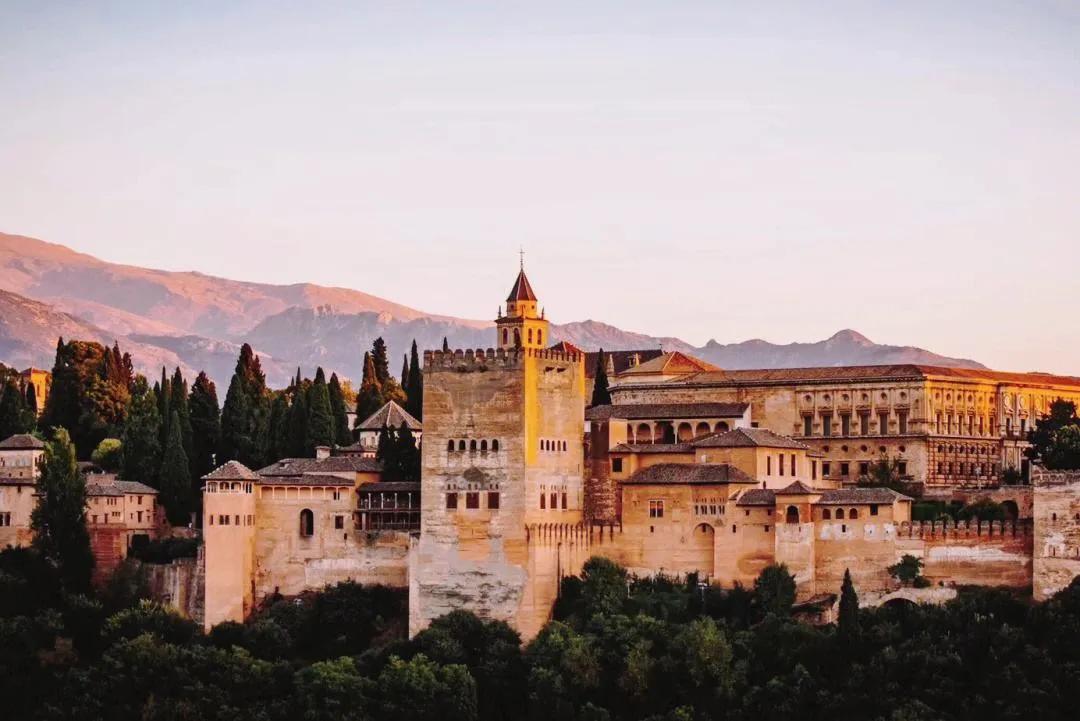 重庆春天适合去的地方,上海春天适合旅游的景点