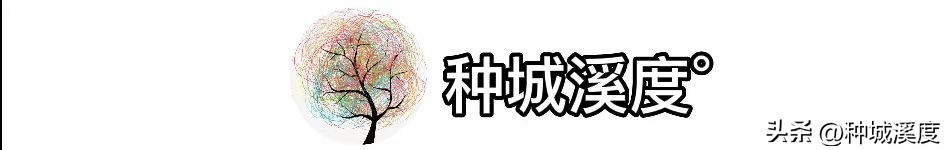 瑜伽裤外穿遭人嫌弃,现在怎么流行瑜伽裤外穿了