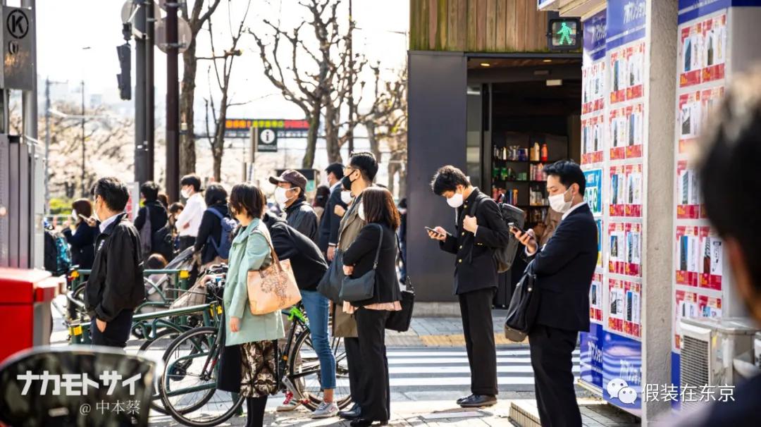 365张照片回顾,365张相片