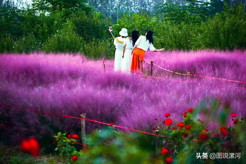 摄影比赛获奖名单公示,摄影大赛颁奖活动暨摄影展美篇