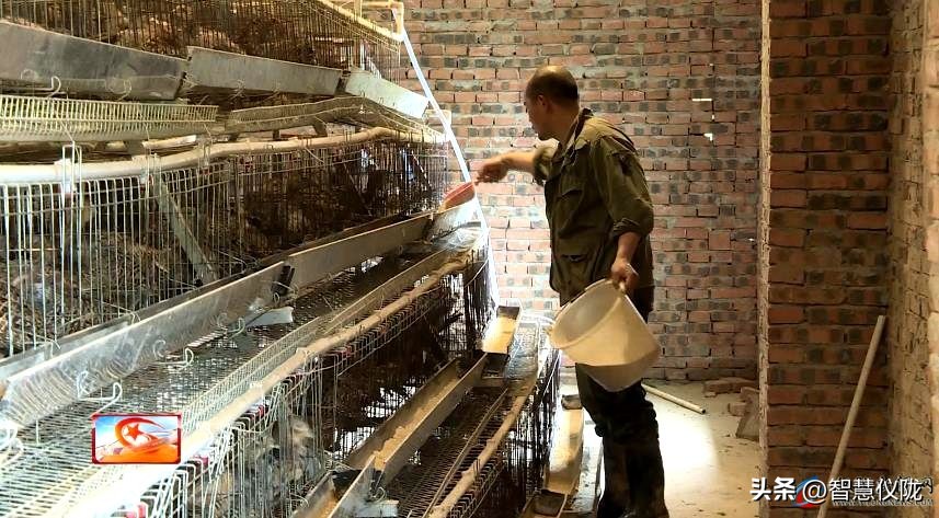 创业路上的奋斗者,返乡创业青年创业事迹