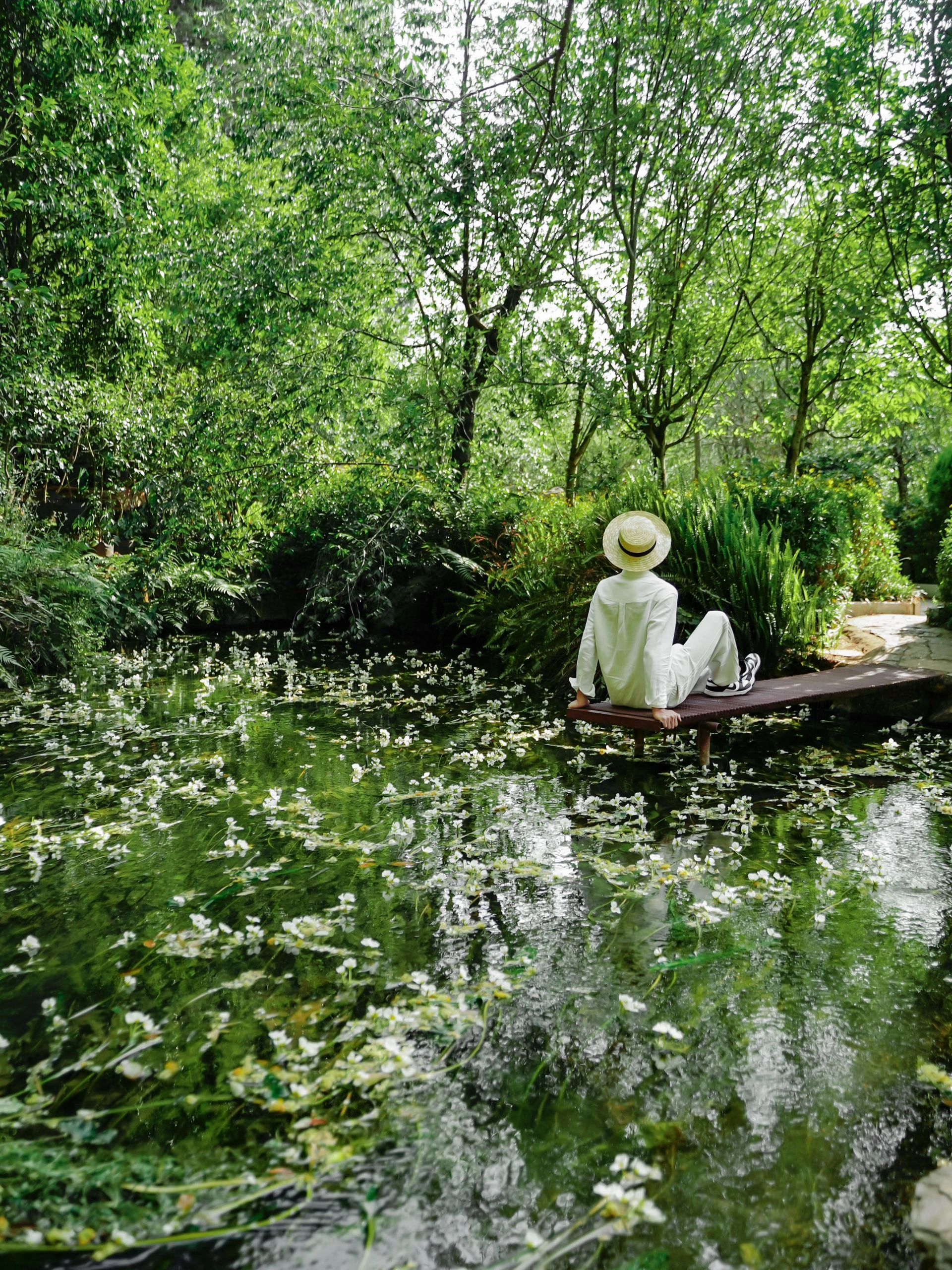 水上莫奈花园,昆明莫奈的花园美爆了