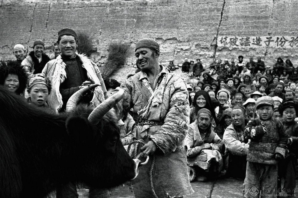 解放时期华野东野实力,东野华野中野四野哪个厉害